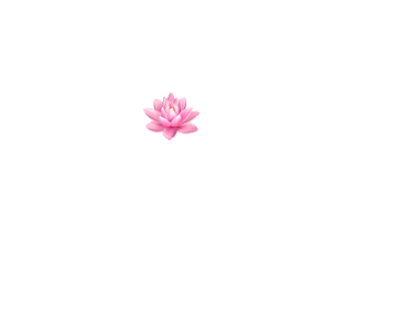 satarn-logo-lotus-wit.png